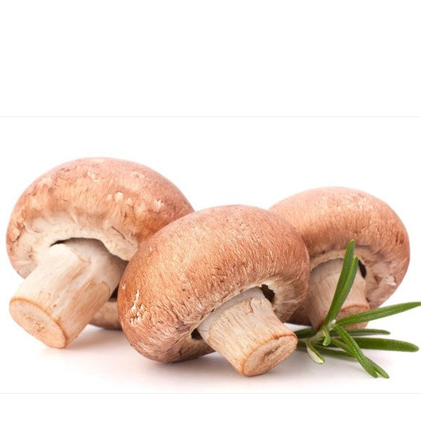 Βιολογικά Μανιτάρια Φρέσκα 300γρ Bio, Λαχανικά Greenhouse